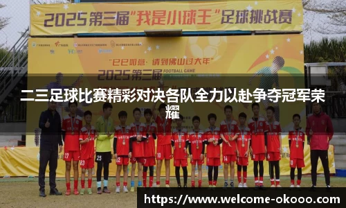 二三足球比赛精彩对决各队全力以赴争夺冠军荣耀