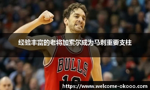 经验丰富的老将加索尔成为马刺重要支柱