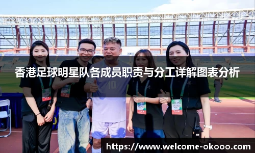 香港足球明星队各成员职责与分工详解图表分析