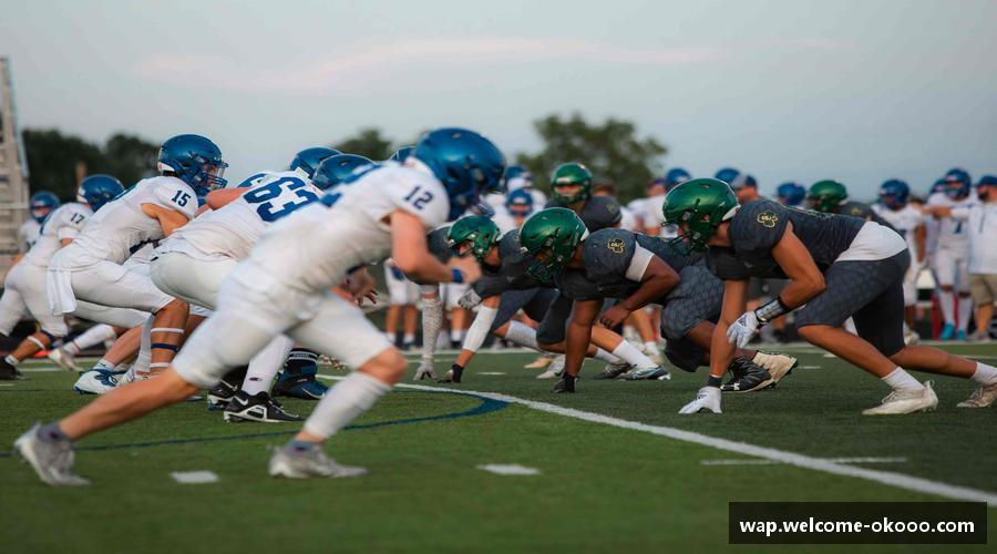 澳客-足彩官方网站-体育赛事足球竞彩比分-投注赔率分析